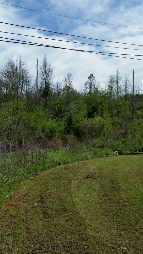 646 N US Highway 231, Ozark, AL 36360